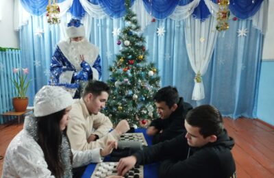 «Новогодние забавы»