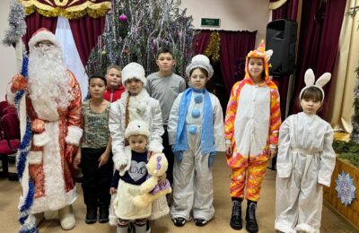«Новогодние забавы»
