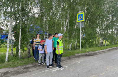 Профилактическая акция «Водители и пешеходы — будьте взаимно вежливы»