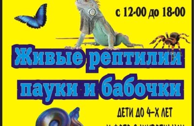 Выставка живых рептилий