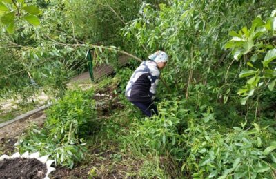 Экологическая акция «Дорога к родникам», в рамках национального проекта «Экологическое благополучие».